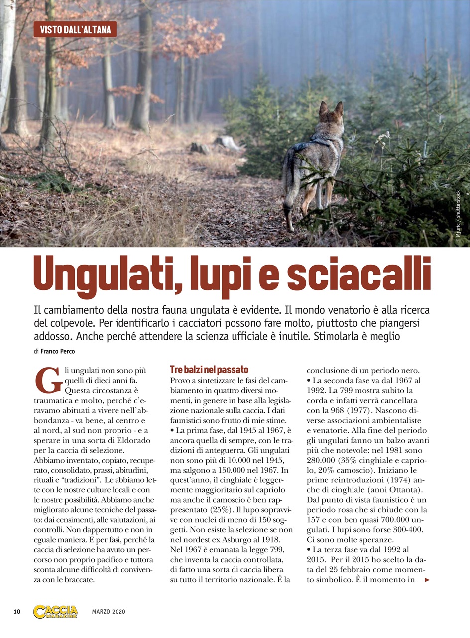 SENTIERI DI CACCIA Preview Pages