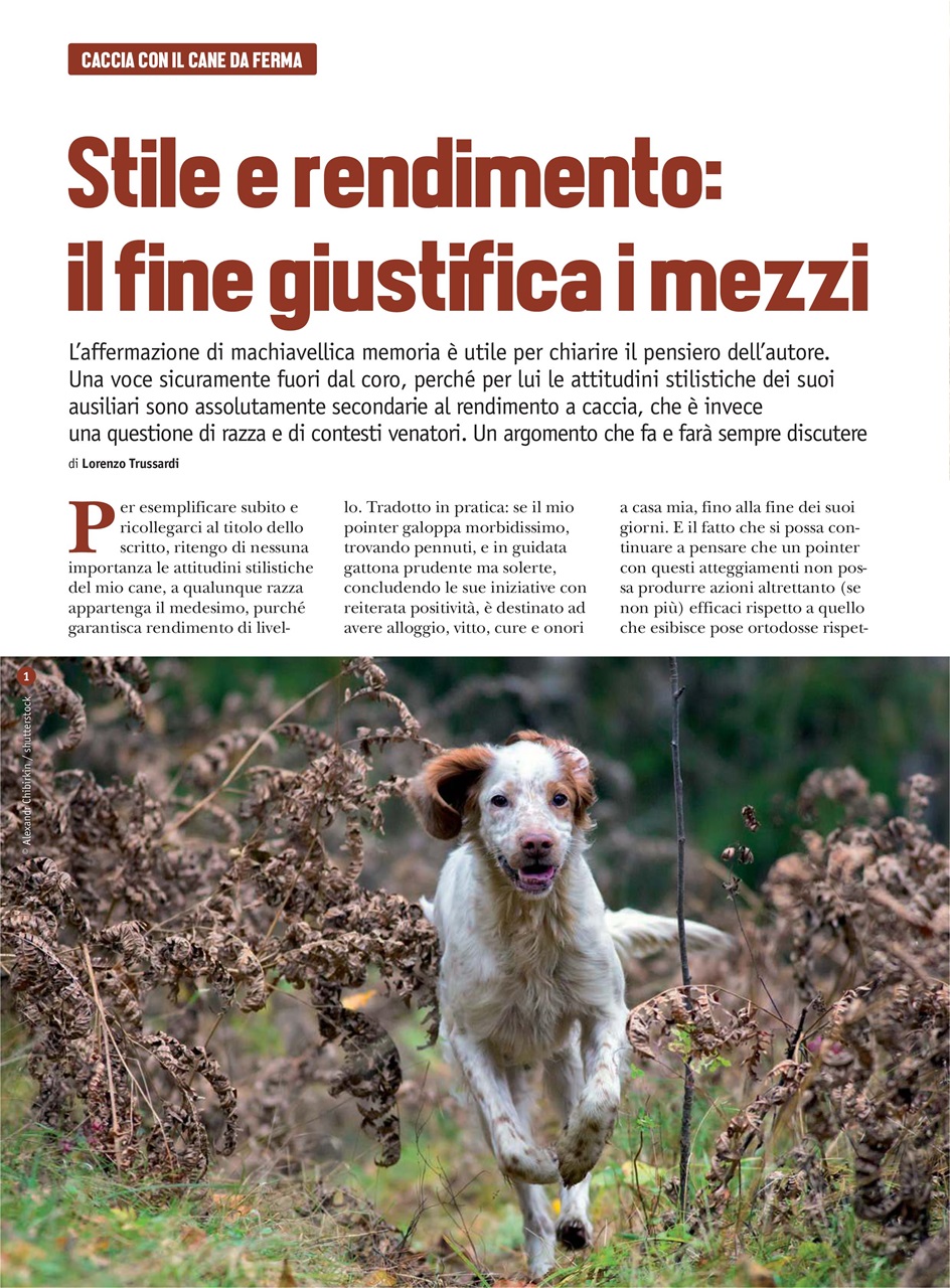 SENTIERI DI CACCIA Preview Pages