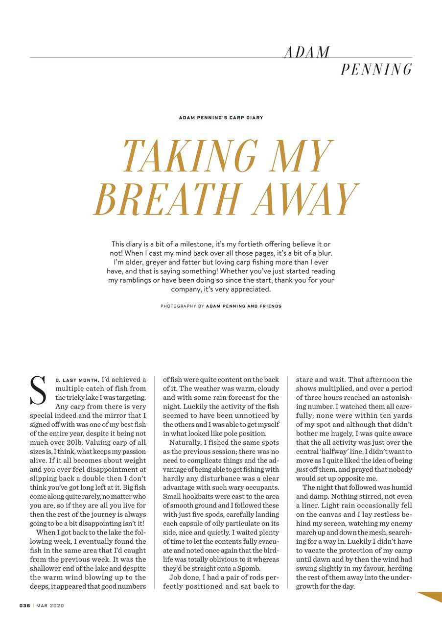 CARPology Magazine Preview Pages