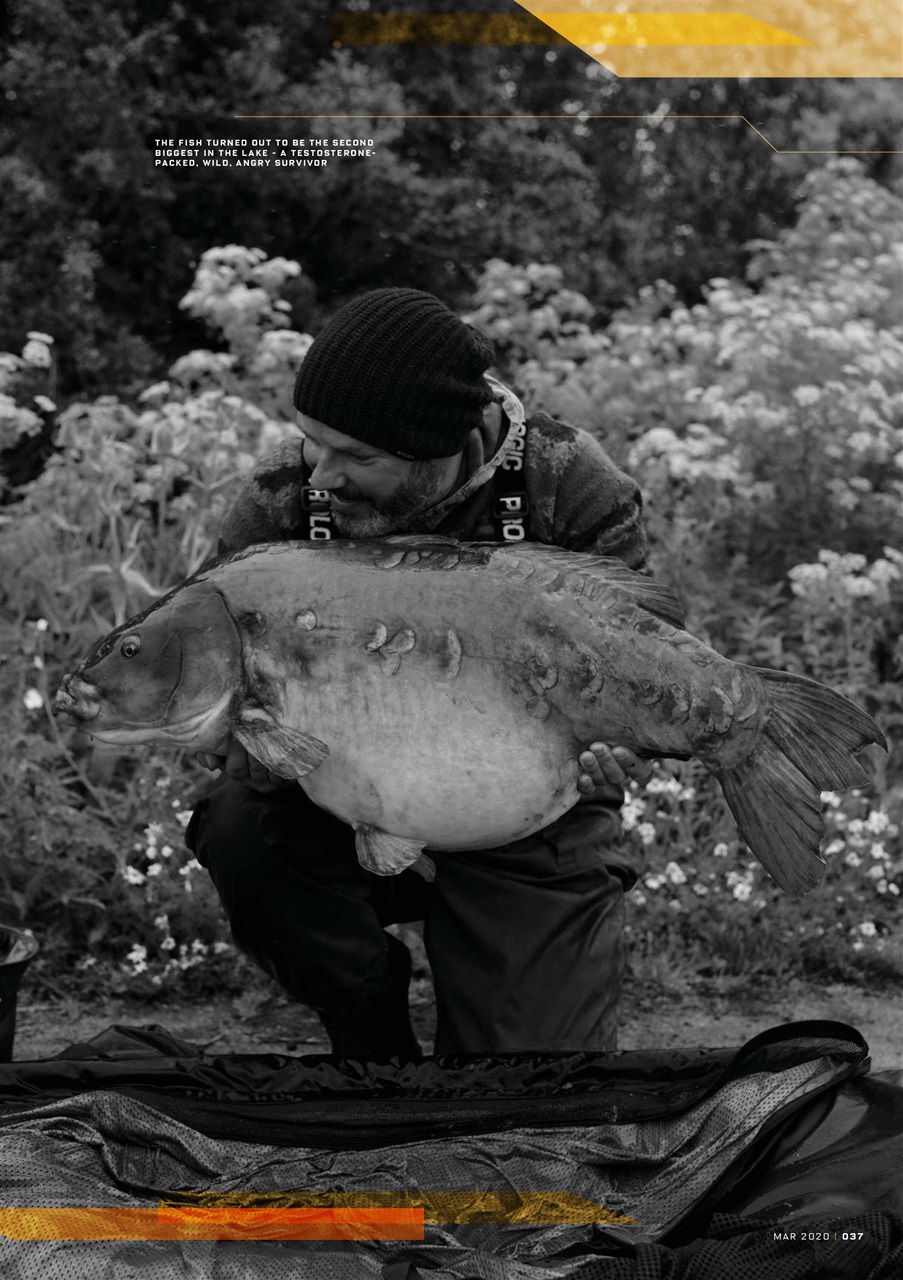 CARPology Magazine Preview Pages