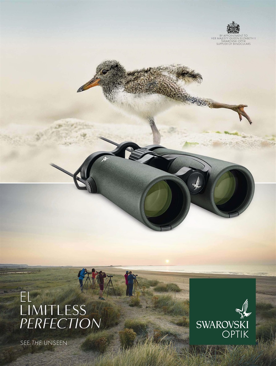 BBC Wildlife Magazine Preview Pages