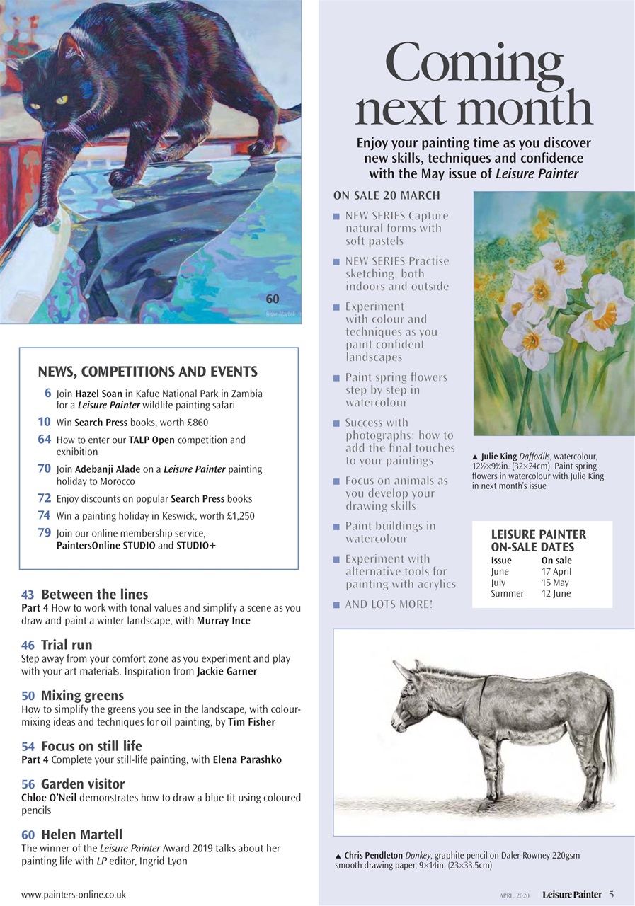 Leisure Painter & The Artist Preview Pages