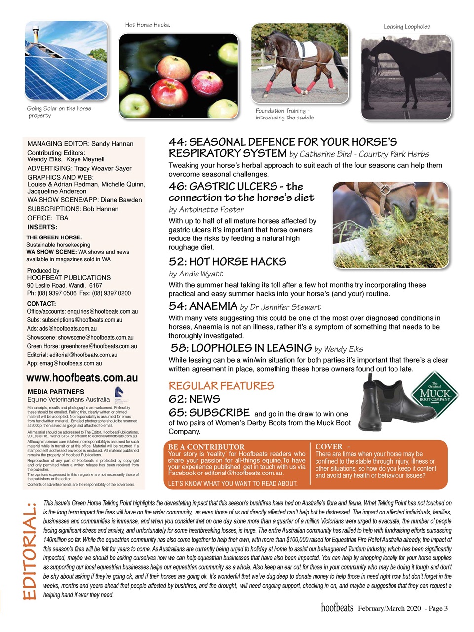 Hoofbeats Preview Pages