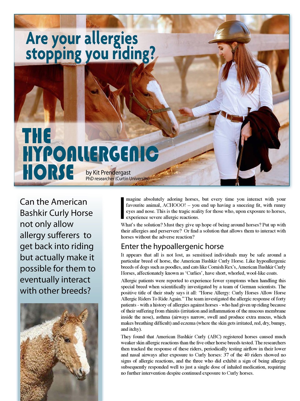 Hoofbeats Preview Pages