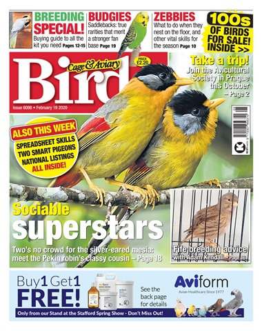 Cage & Aviary Birds issue 19/02/2020