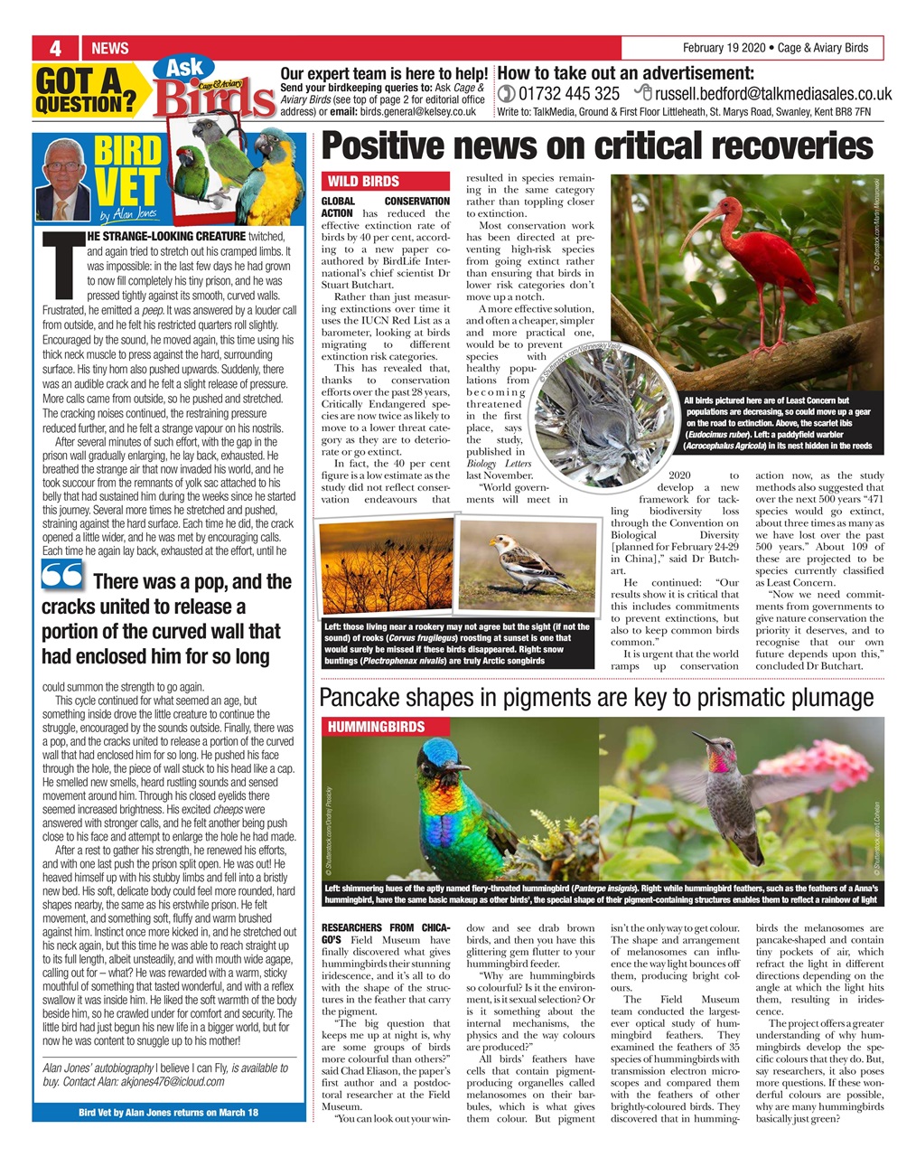 Cage & Aviary Birds Preview Pages