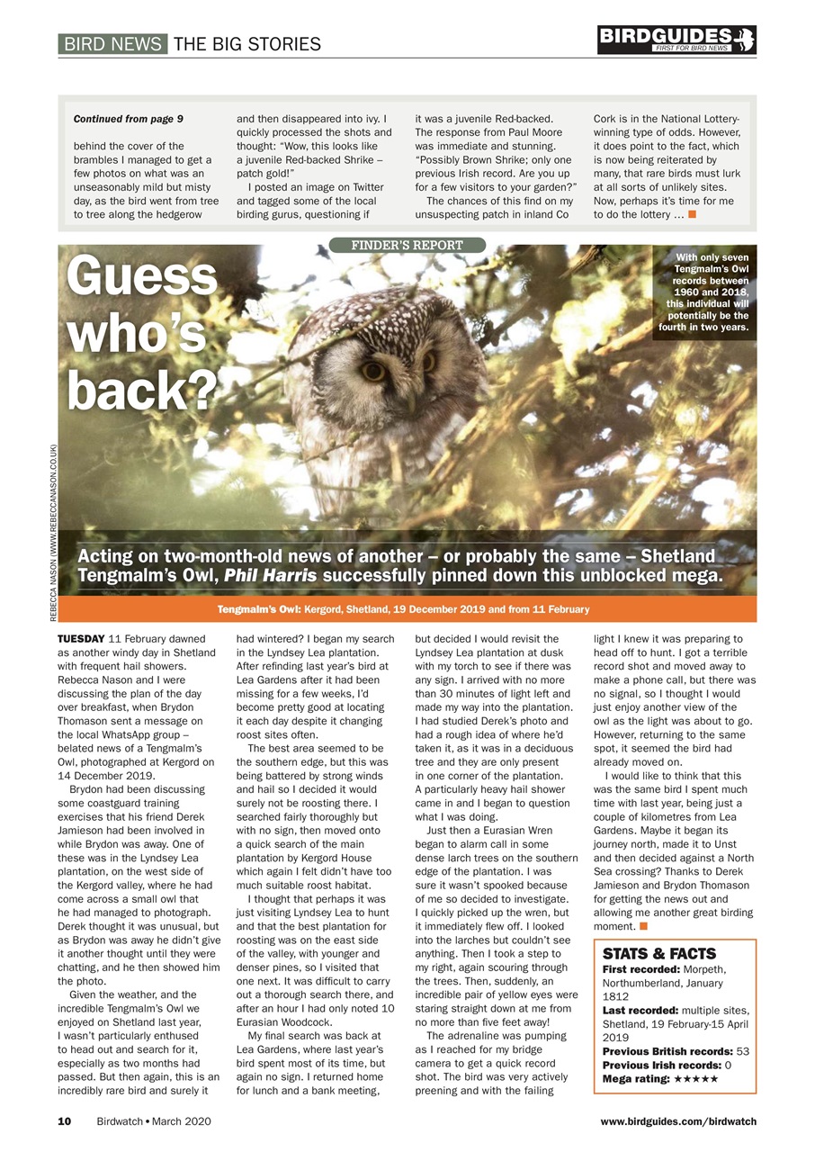 Birdwatch Magazine Preview Pages