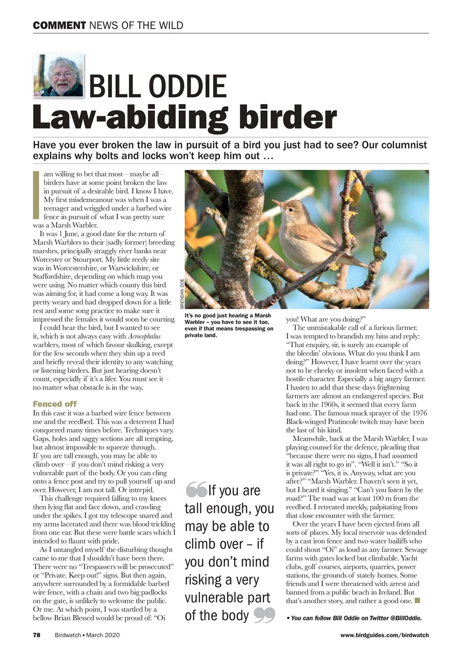 Birdwatch Magazine Preview Pages