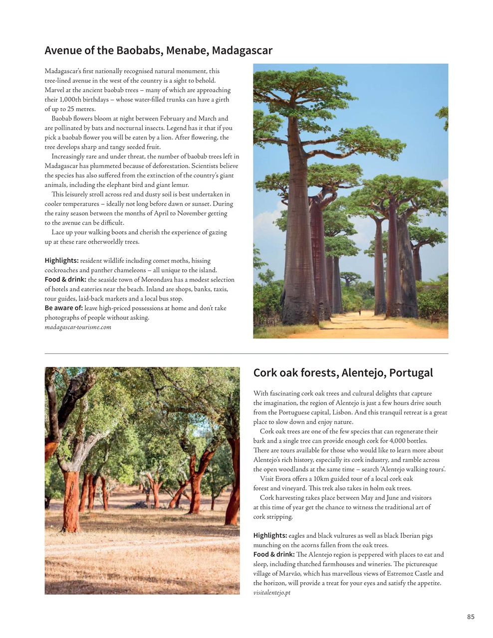Woodworking Crafts Magazine Preview Pages