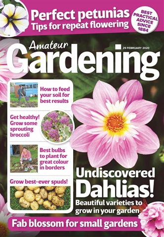 Amateur Gardening issue 29-Feb-2020