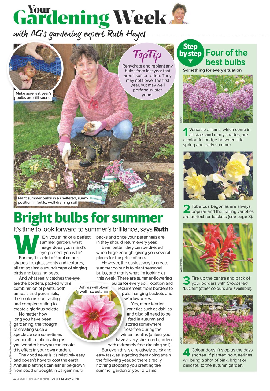 Amateur Gardening Preview Pages