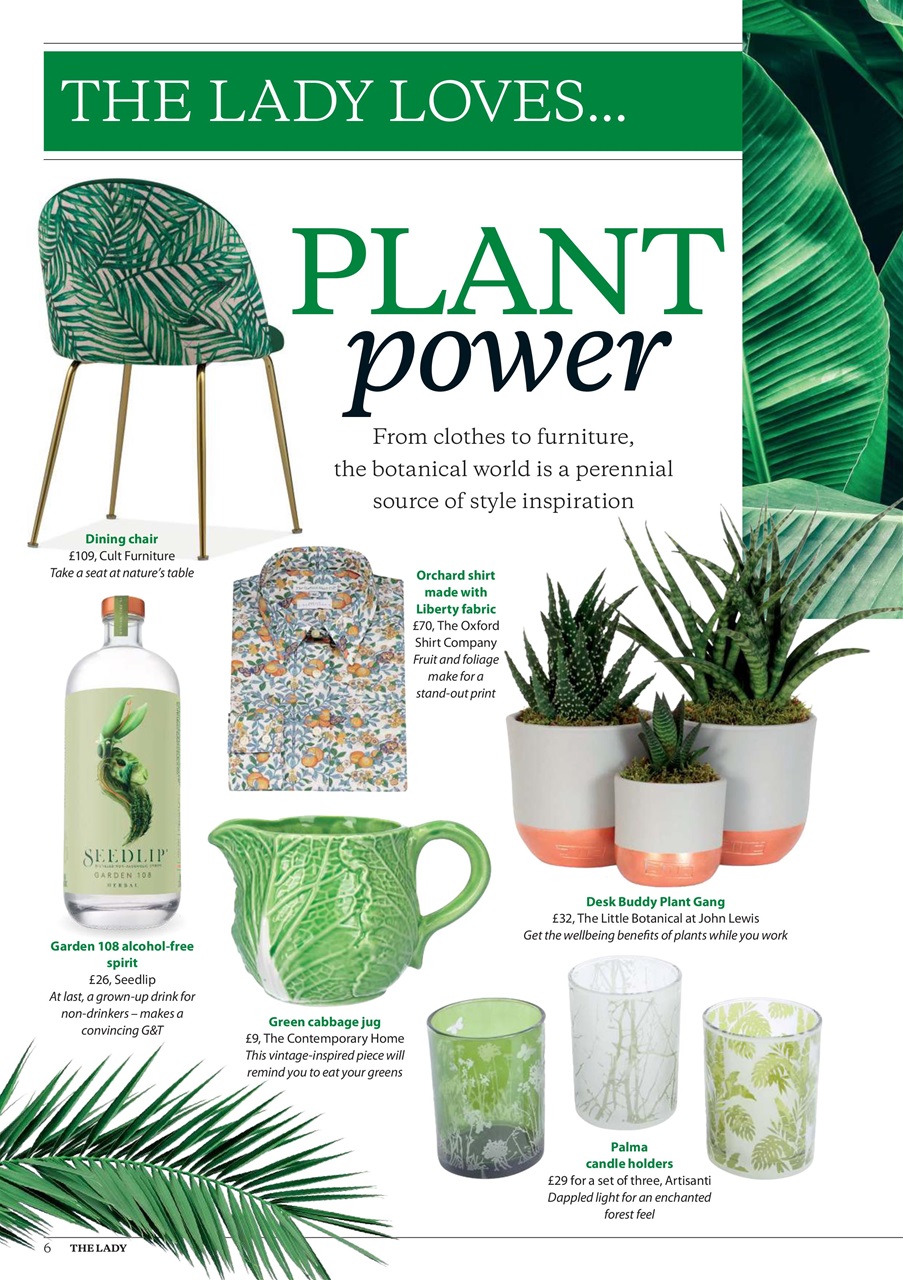 The Lady Preview Pages