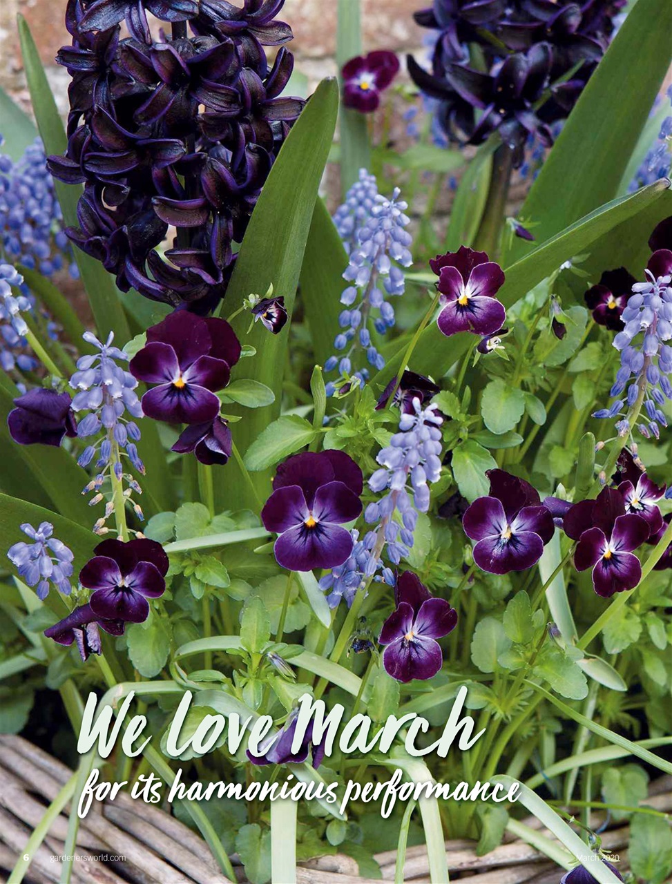 BBC Gardeners’ World Magazine Preview Pages