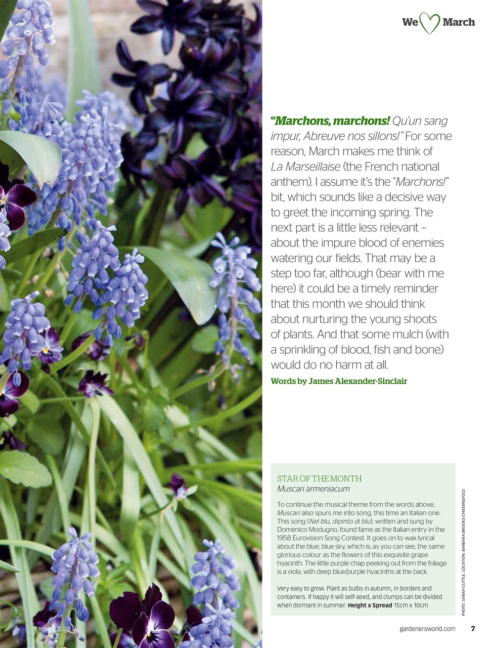 BBC Gardeners’ World Magazine Preview Pages