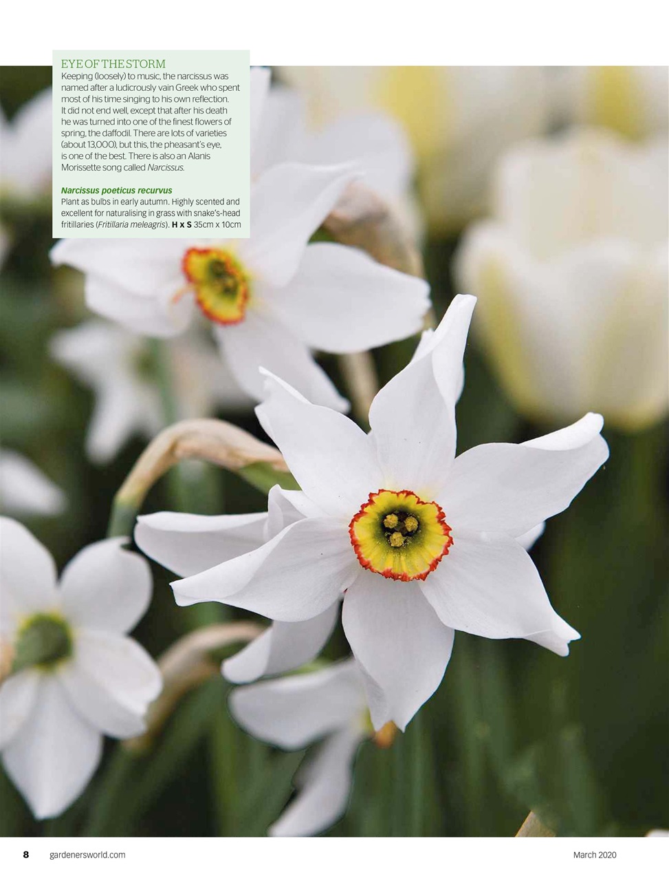 BBC Gardeners’ World Magazine Preview Pages