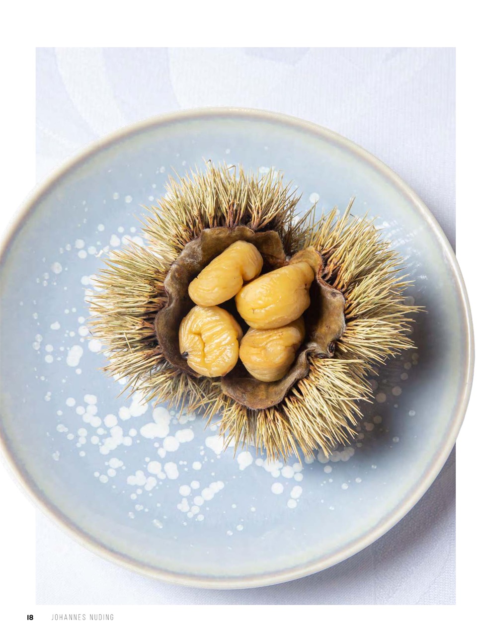 Chef & Restaurant Magazine Preview Pages