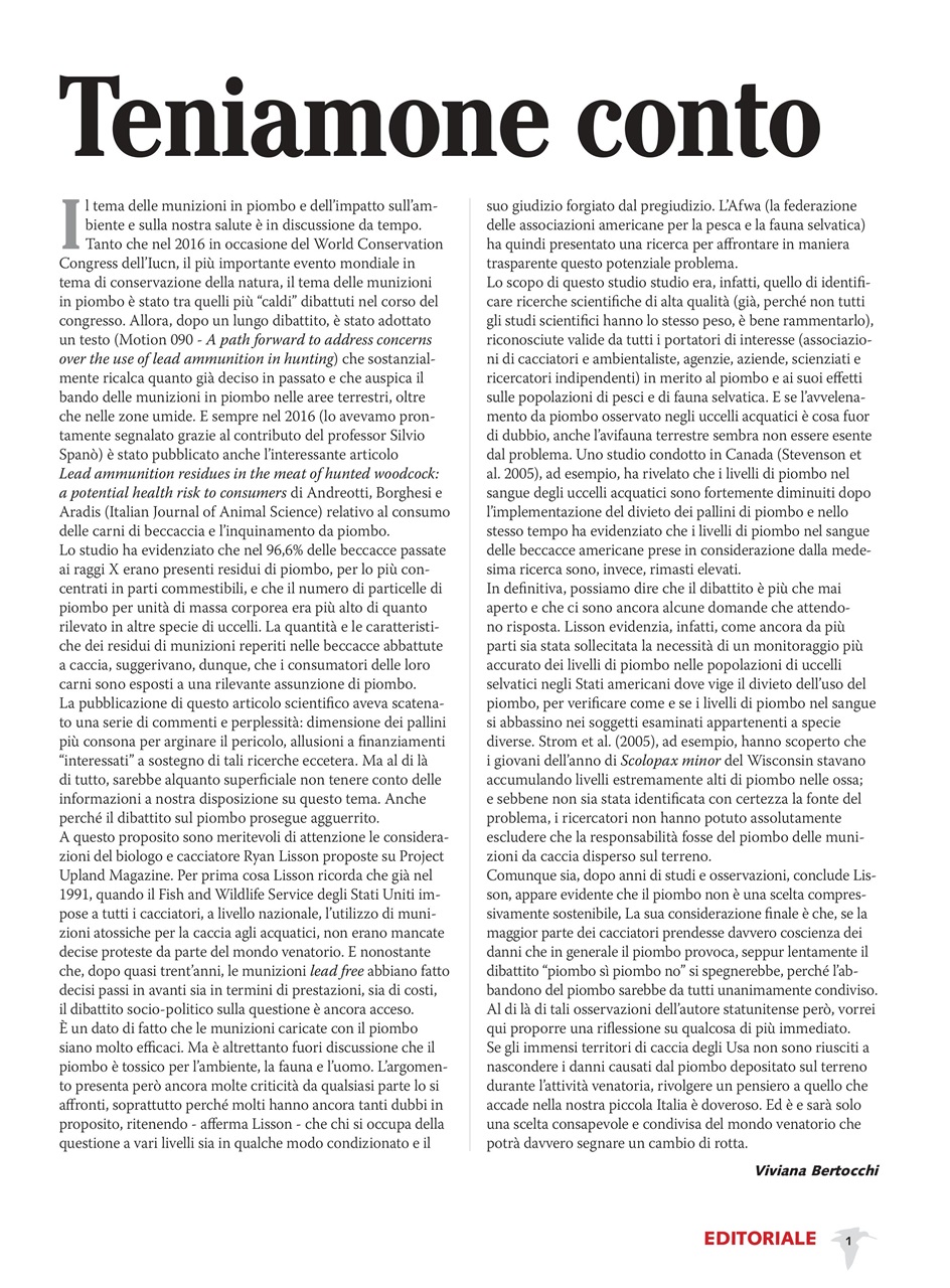 BECCACCE CHE PASSIONE Preview Pages