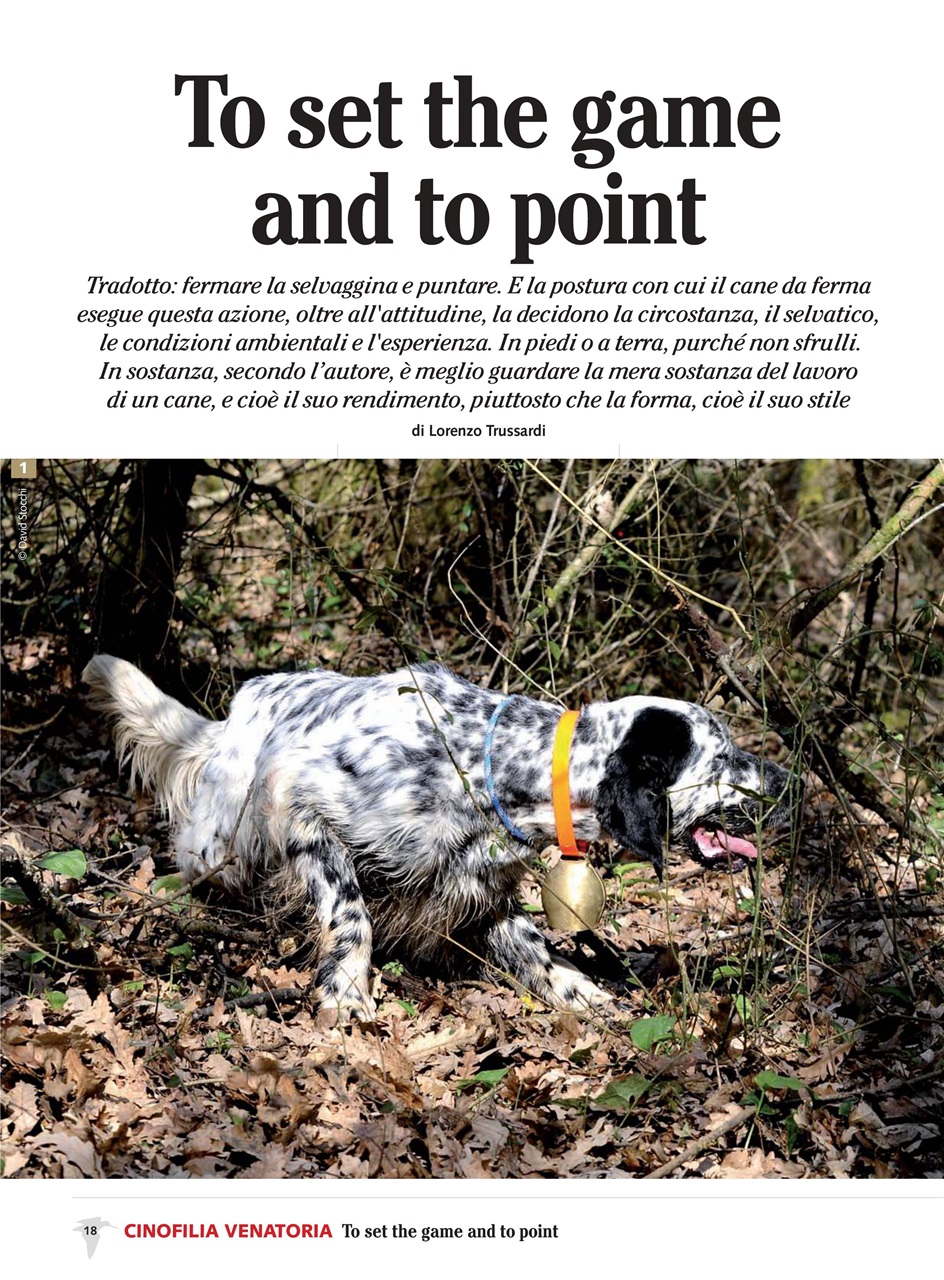 BECCACCE CHE PASSIONE Preview Pages