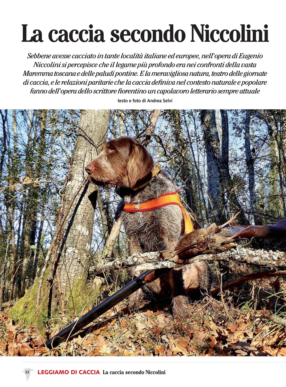 BECCACCE CHE PASSIONE Preview Pages