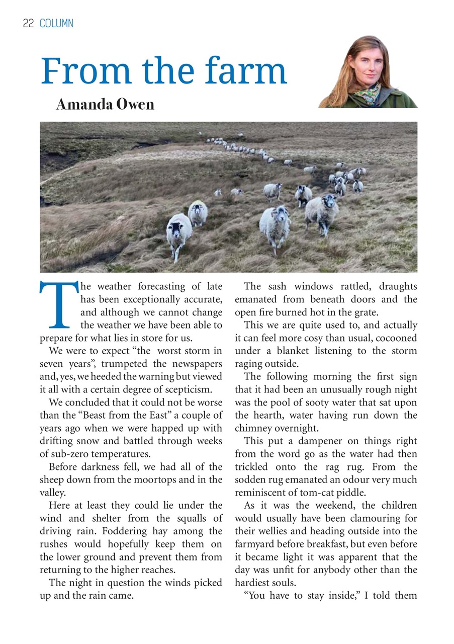 The Yorkshire Dalesman Preview Pages