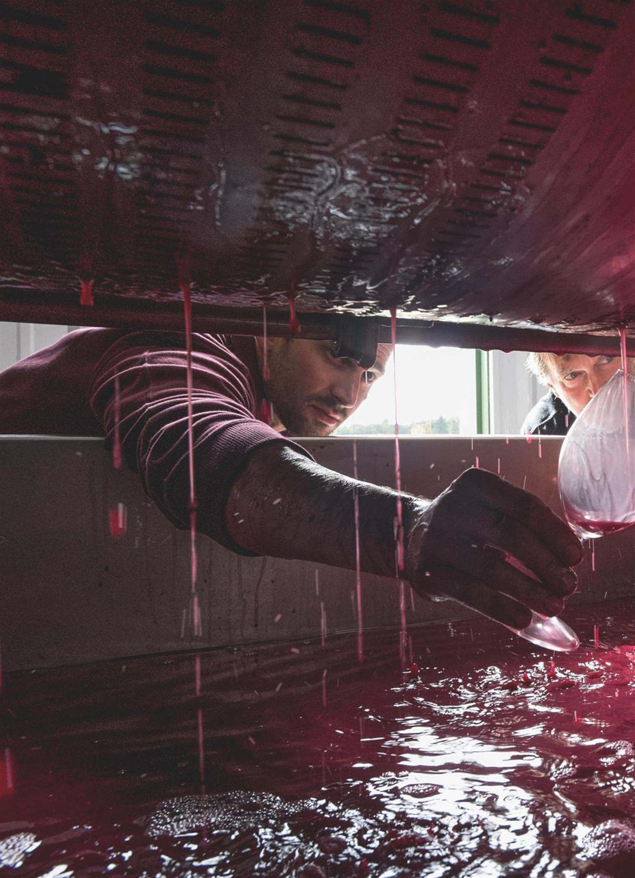 Decanter Preview Pages