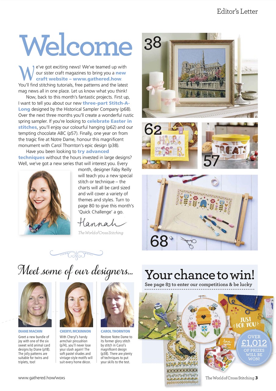 The World of Cross Stitching Preview Pages
