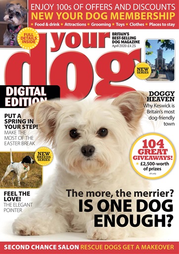 Your Dog issue 