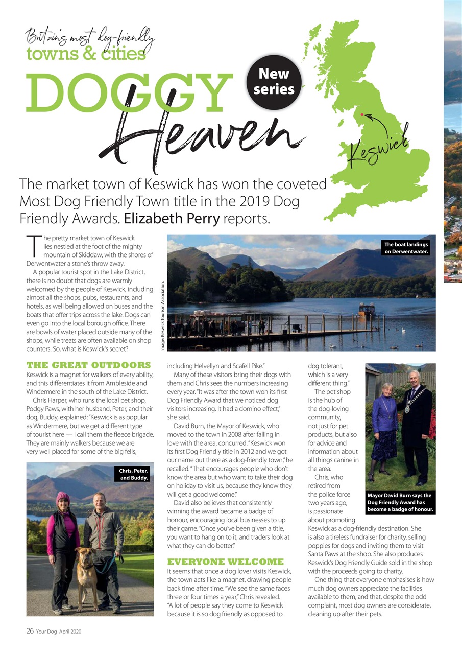 Your Dog Preview Pages