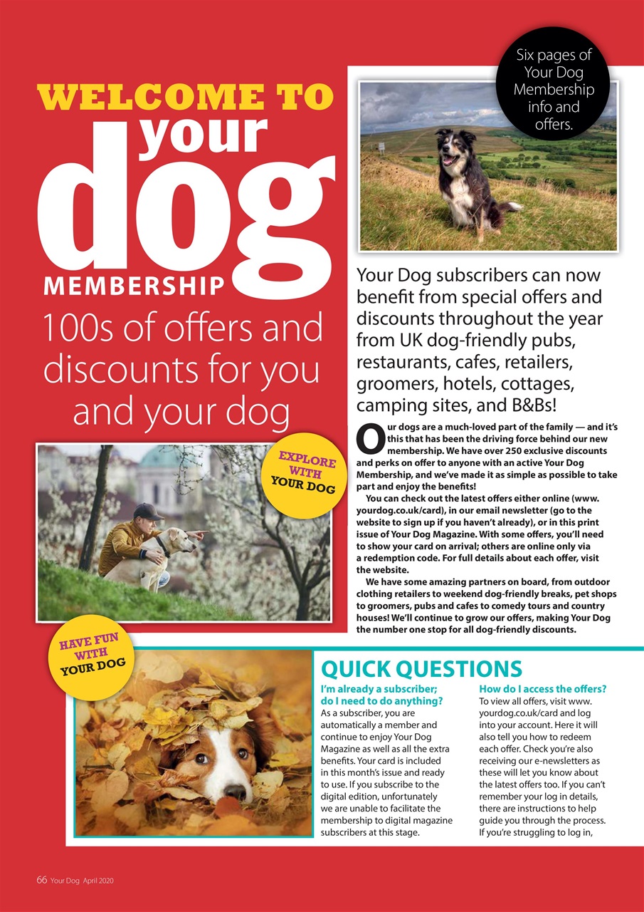 Your Dog Preview Pages