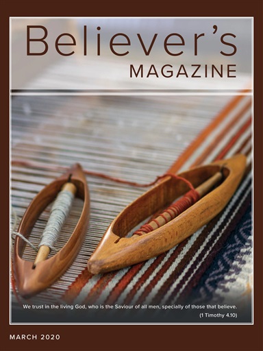 Believer Magazine issue 