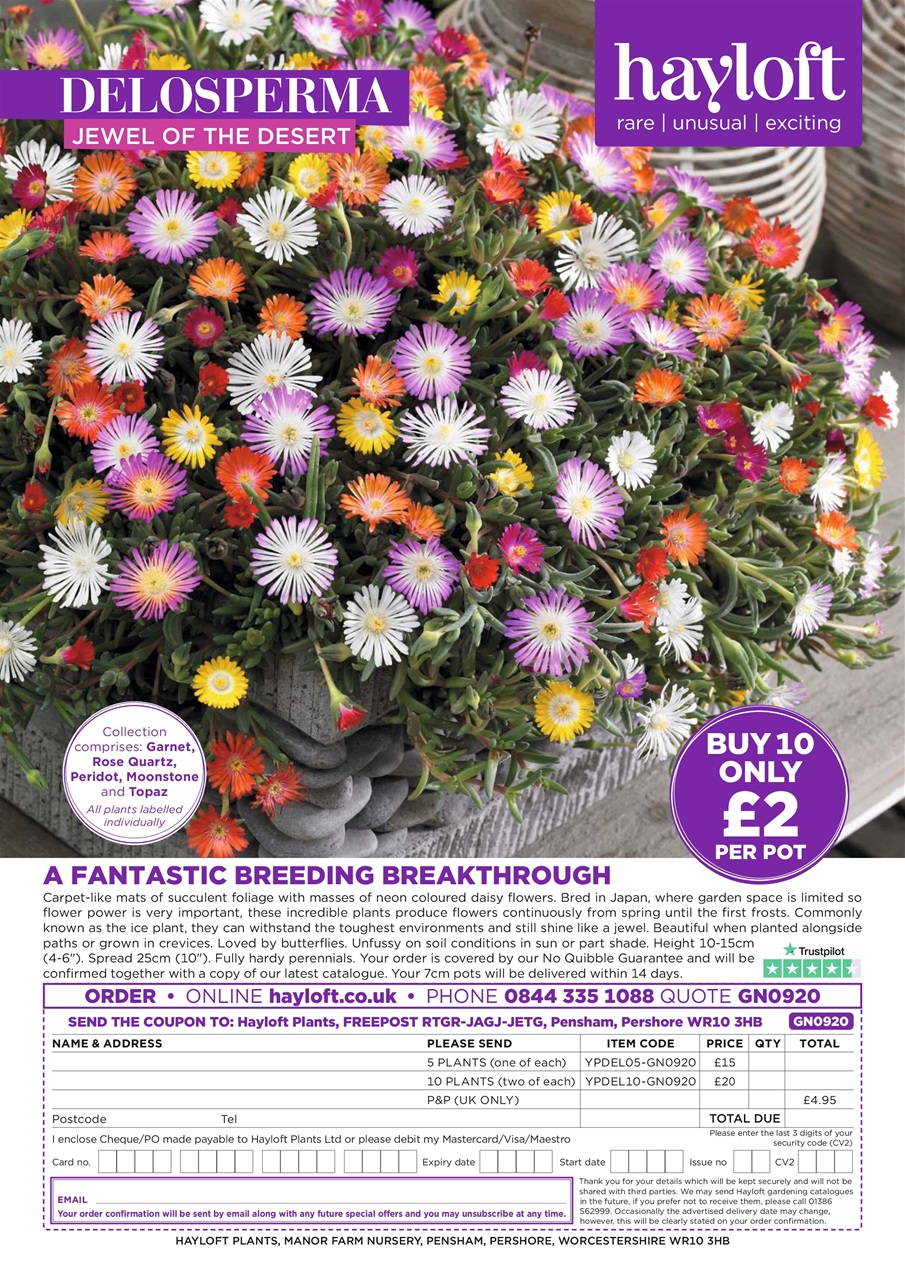 Garden News Preview Pages