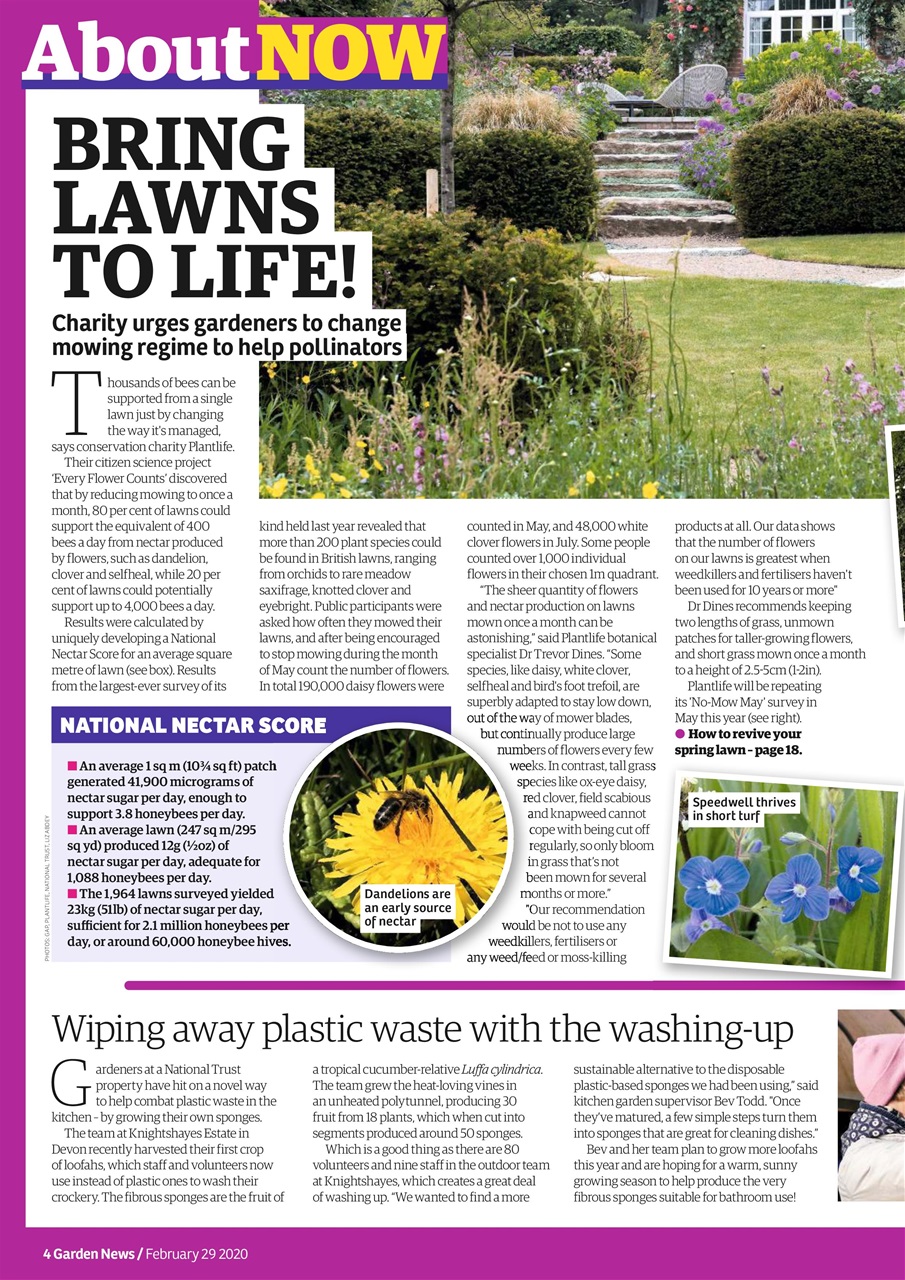 Garden News Preview Pages