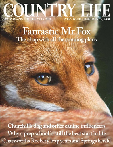 Country Life issue 