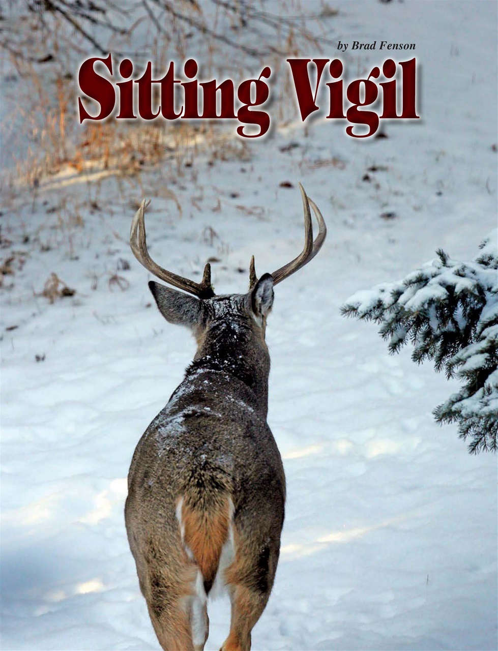 Alberta Outdoors Preview Pages