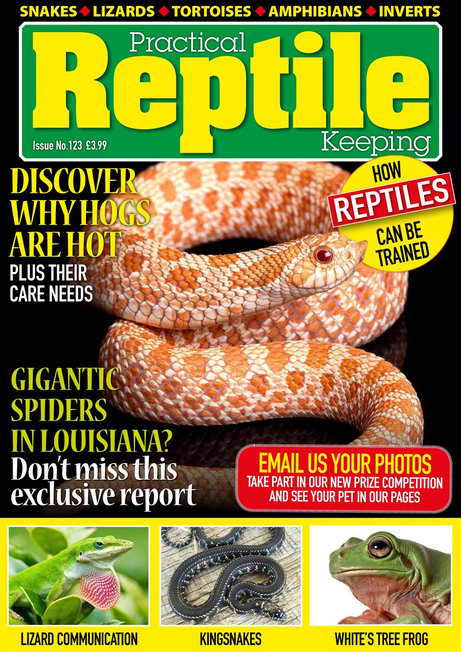 Practical Reptile Keeping Preview Pages