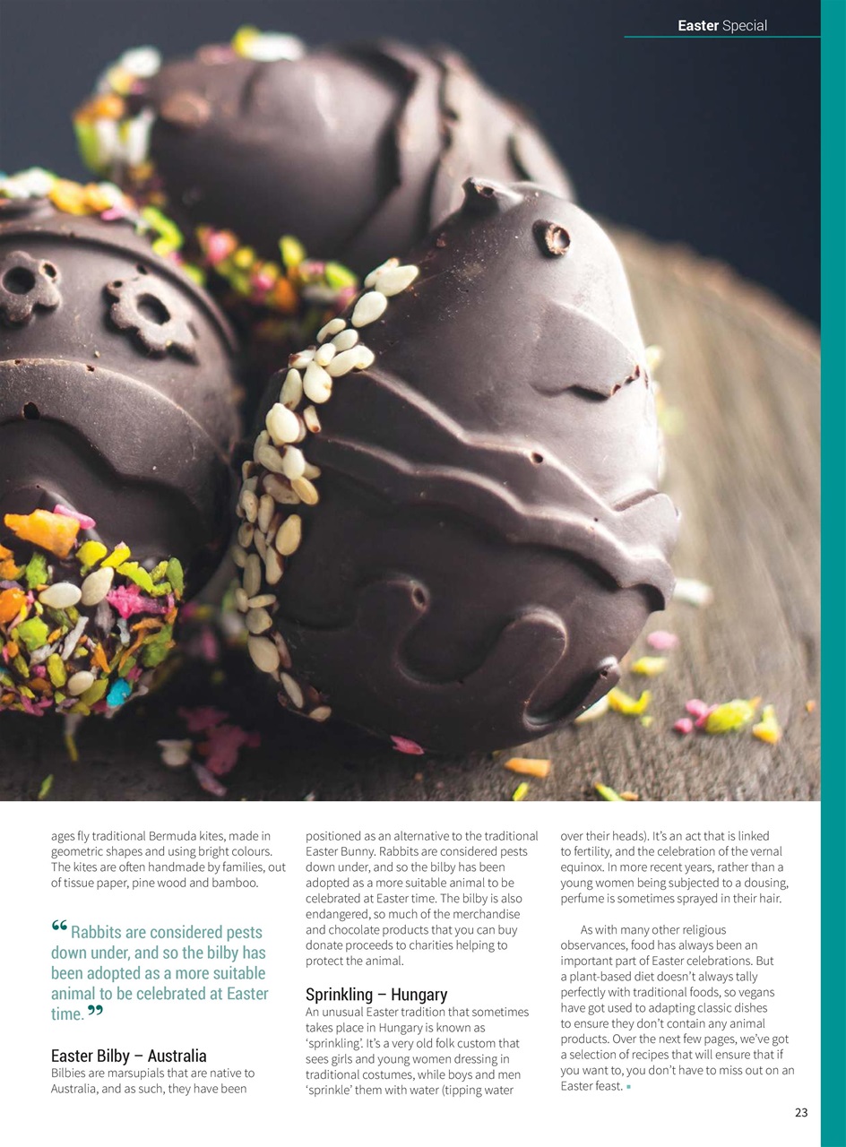 PlantBased Preview Pages