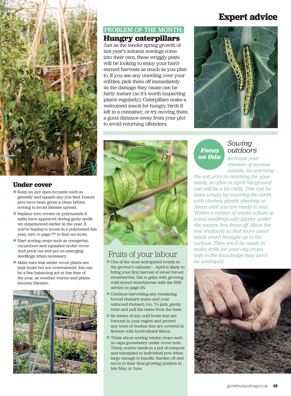 Grow Your Own Preview Pages