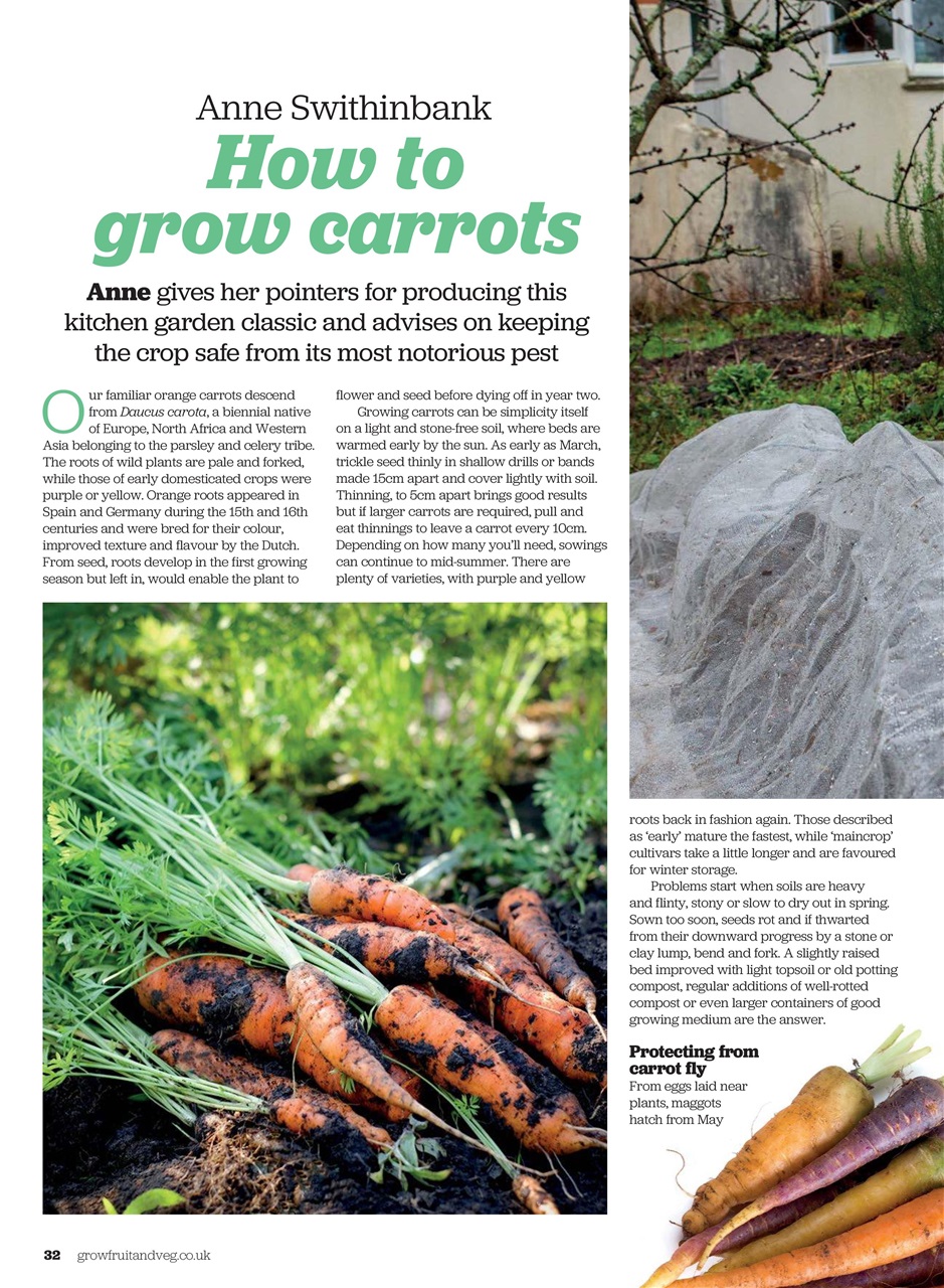 Grow Your Own Preview Pages