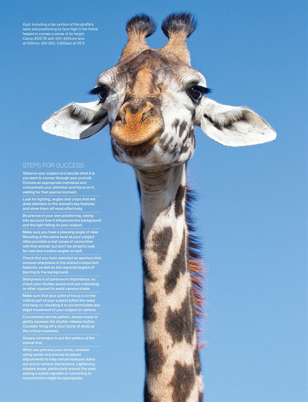 Outdoor Photography Preview Pages