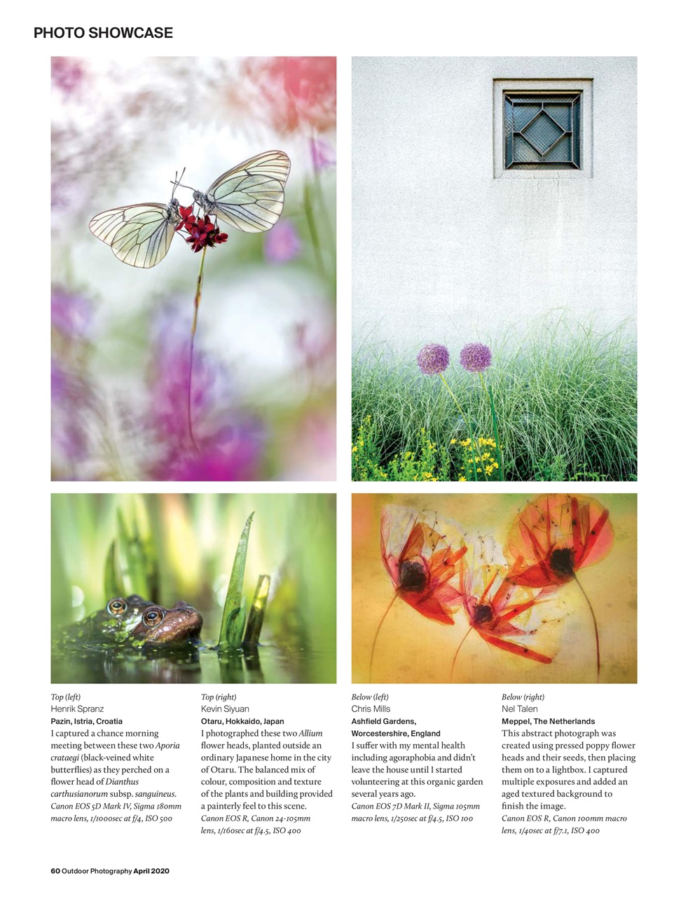 Outdoor Photography Preview Pages