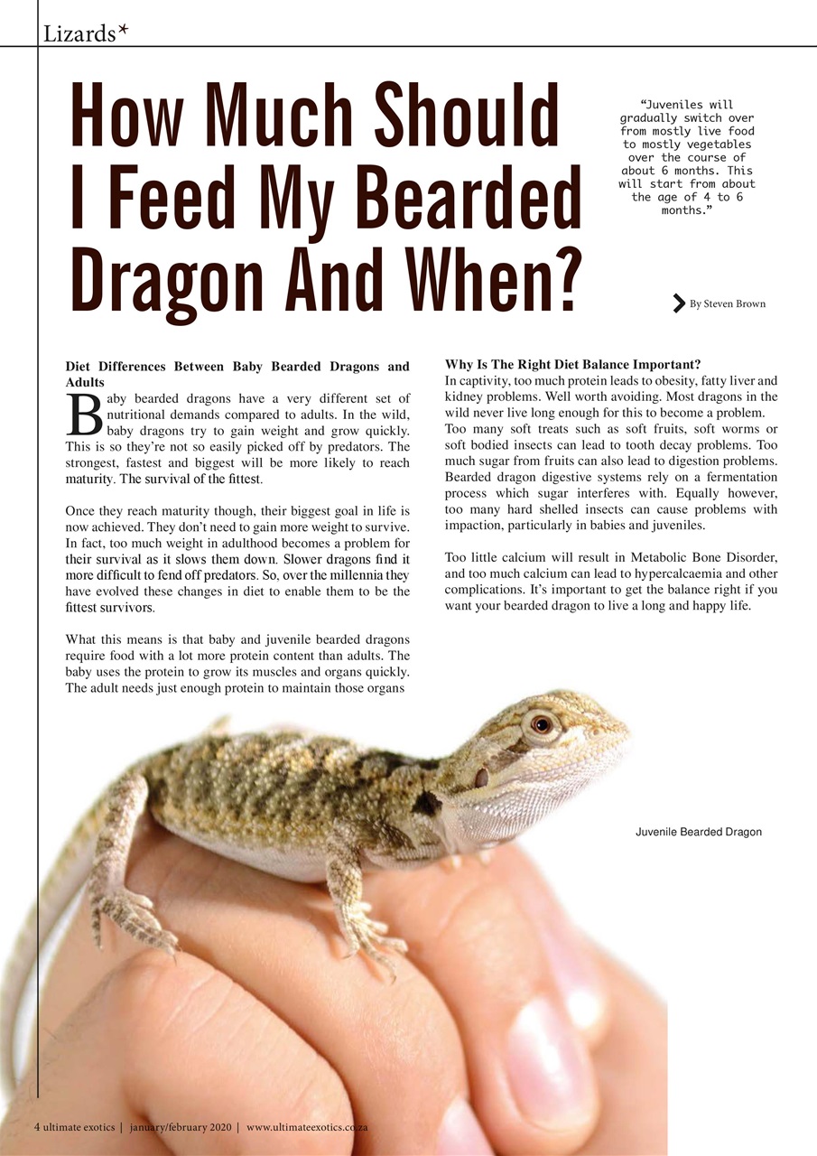 Ultimate Exotics Preview Pages