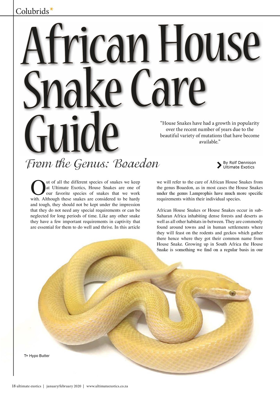 Ultimate Exotics Preview Pages