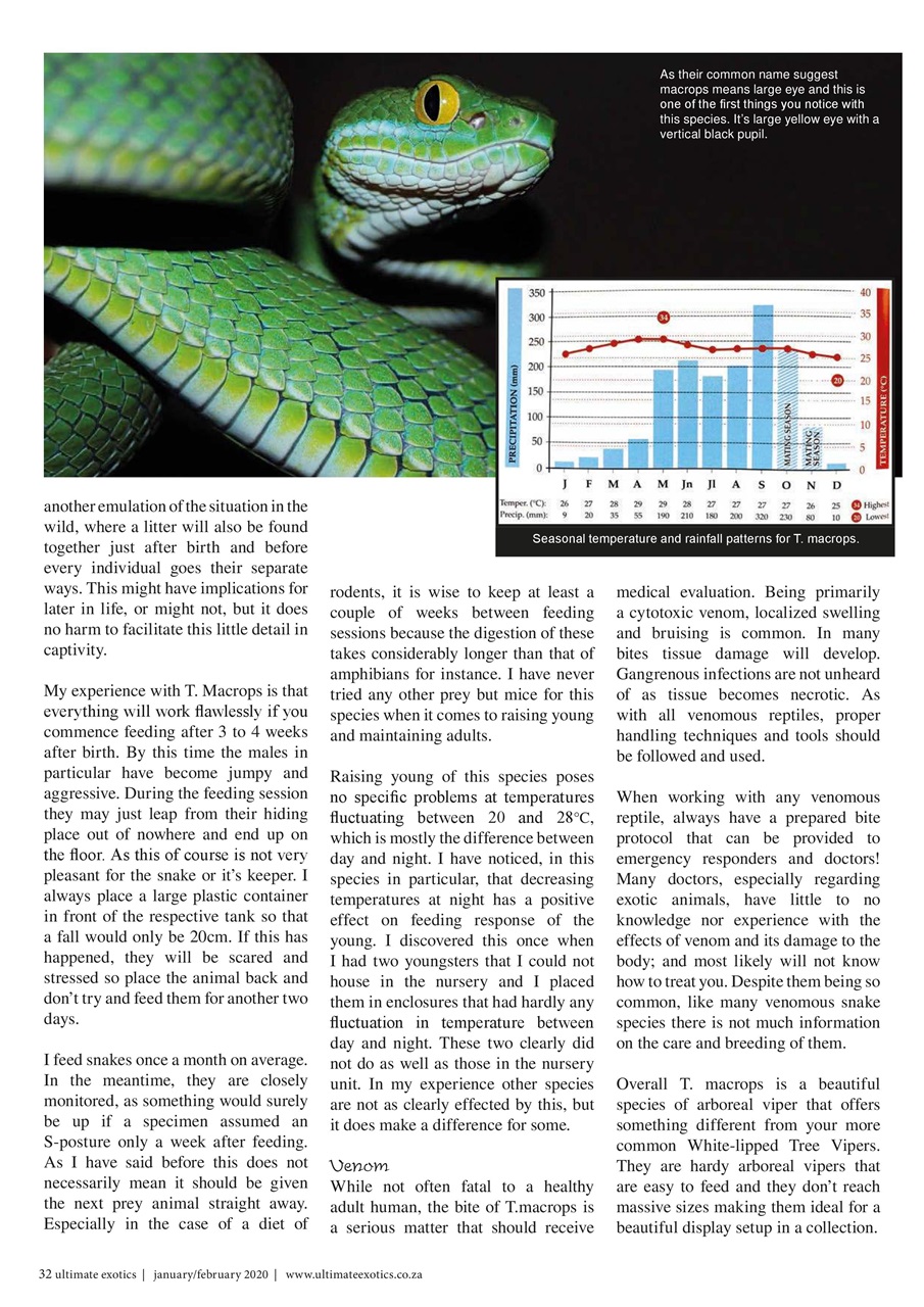 Ultimate Exotics Preview Pages