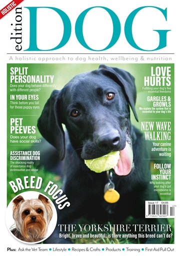 Edition Dog issue 