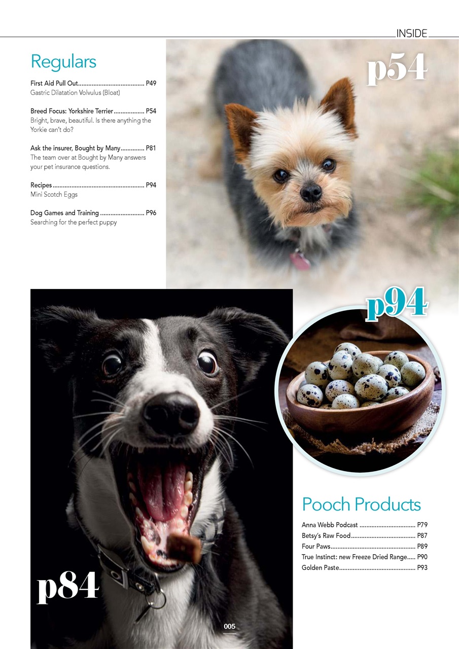 Edition Dog Preview Pages