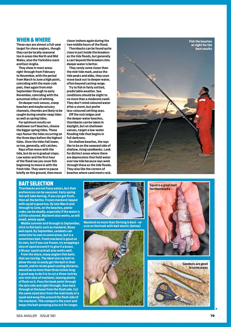 Sea Angler Preview Pages