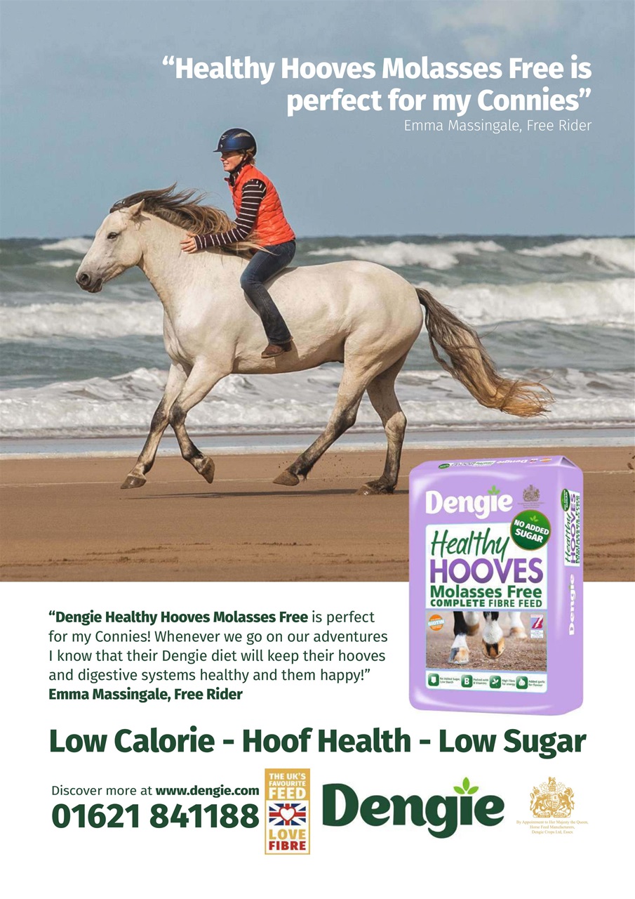 Your Horse Preview Pages