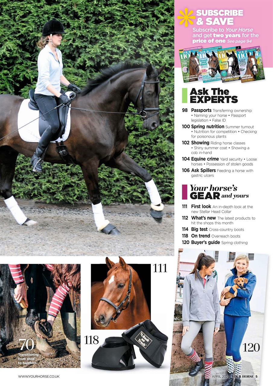 Your Horse Preview Pages
