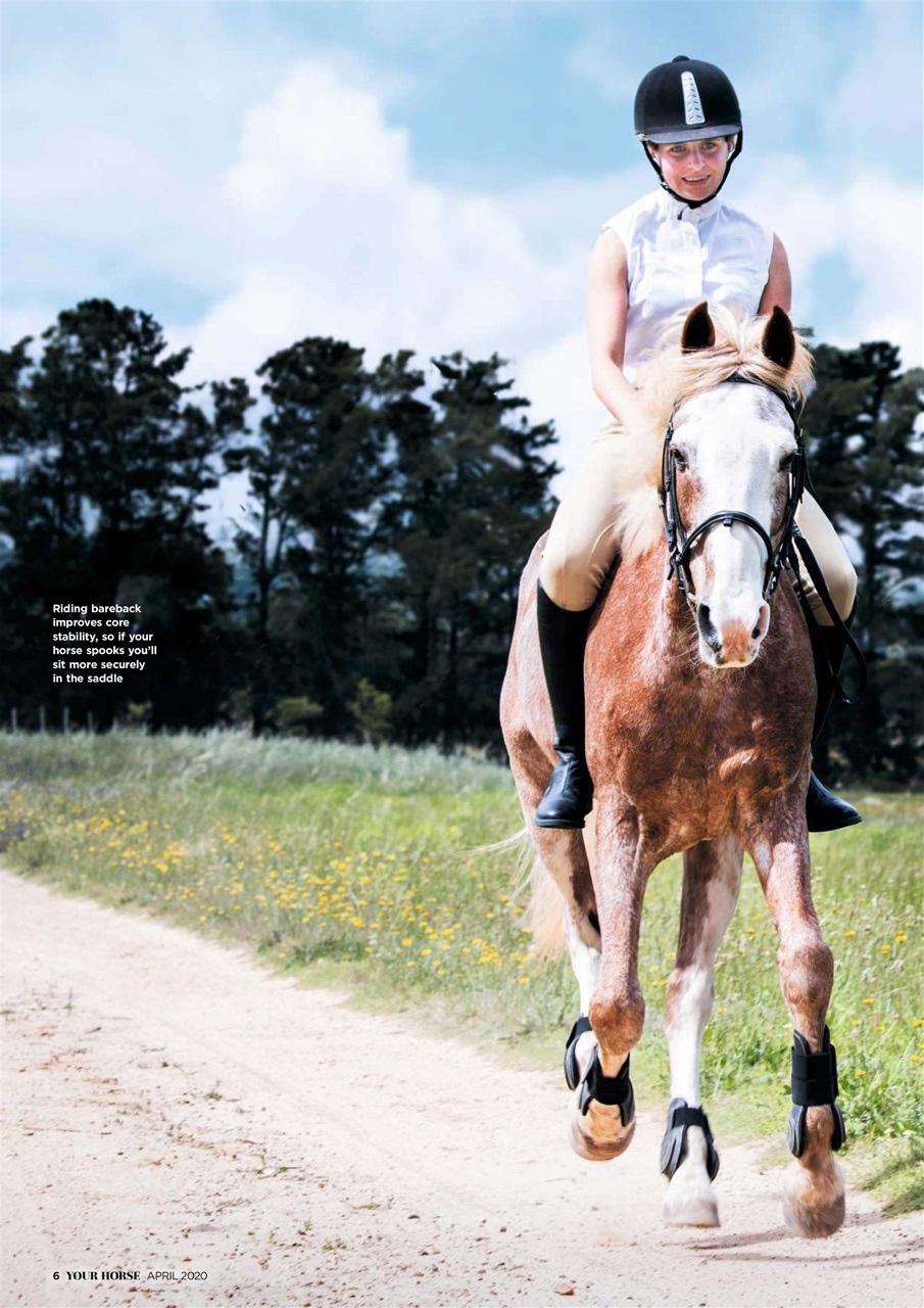 Your Horse Preview Pages