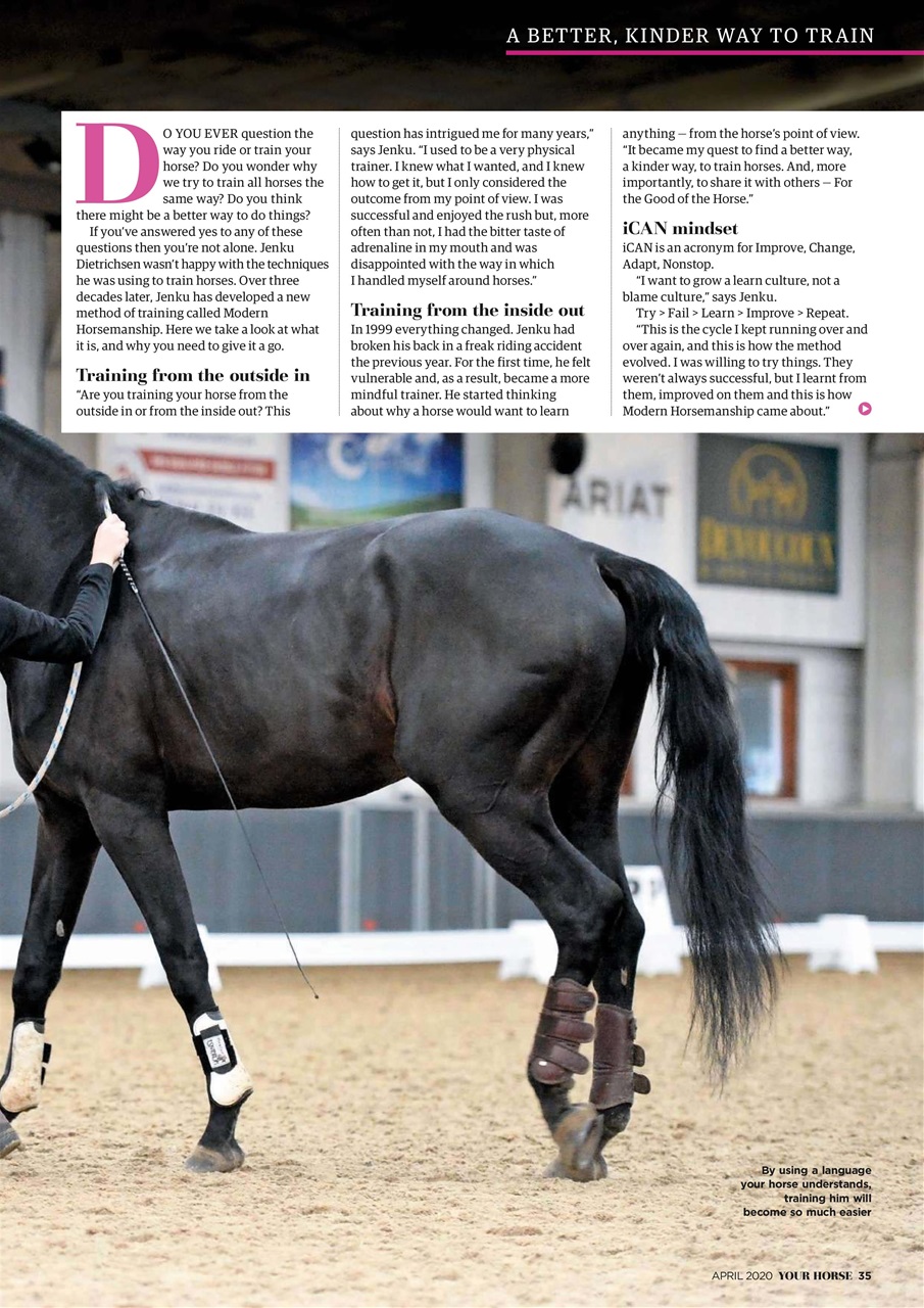 Your Horse Preview Pages